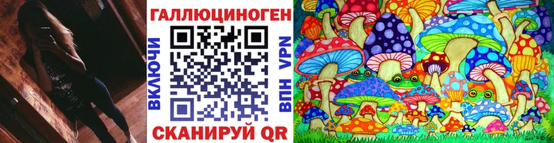 Купить закладки Сургут Галлюциногенные грибы прущие грибы